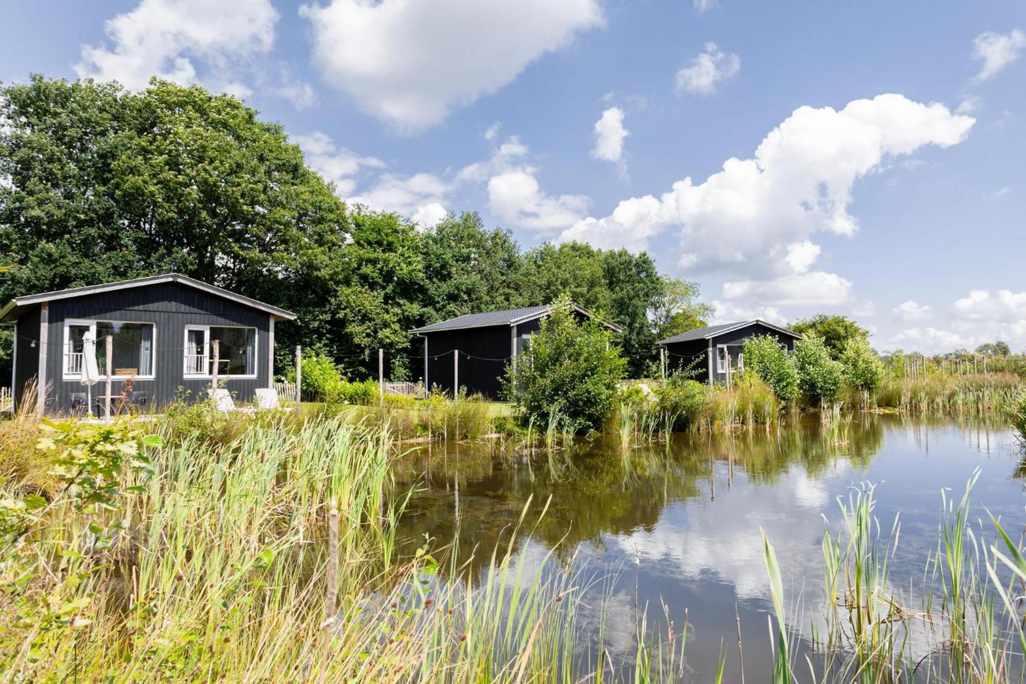 Vakantiepark De Kremmer Gasselte ภายนอก รูปภาพ
